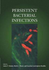 bokomslag Persistent Bacterial Infections