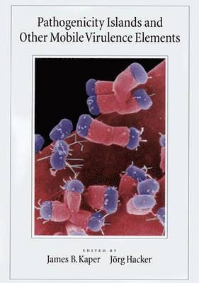 bokomslag Pathogenicity Islands and Other Mobile Virulence Elements