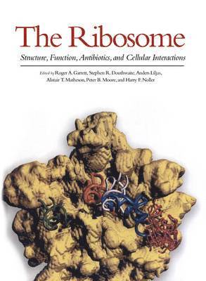 Anders Liljas, Roger A. Garrett, Stephen R. Douthwate - Ribosome - structure, function, antibiotics and cellular interactions, Inbunden
