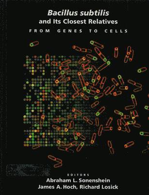 bokomslag Bacillus subtilis and Its Closest Relatives