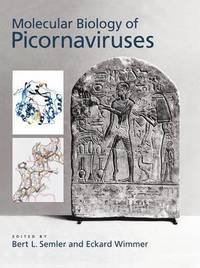 bokomslag Molecular Biology of Picornavirus
