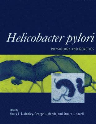 bokomslag Helicobacter pylori