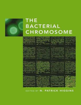 N. Patrick Higgins - The Bacterial Chromosome, Inbunden