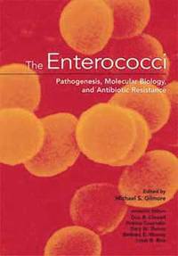 bokomslag The Enterococci
