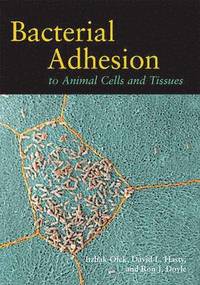 bokomslag Bacterial Adhesion to Animal Cells and Tissues