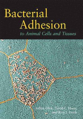 bokomslag Bacterial Adhesion to Animal Cells and Tissues