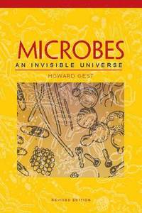 bokomslag Microbes