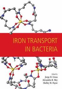 bokomslag Iron Transport in Bacteria