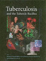 bokomslag Tuberculosis and the Tubercle Bacillus