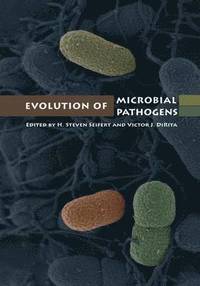 bokomslag Evolution of Microbial Pathogens