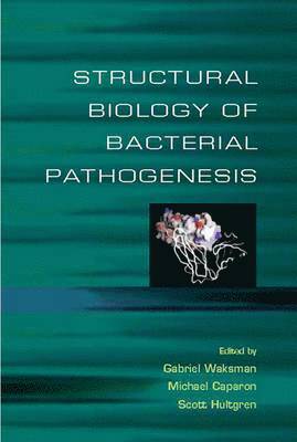 bokomslag Structural Biology of Bacterial Pathogensis