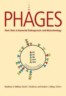 bokomslag Phages: Their Role in Pathogen and Biotechnology