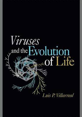 bokomslag Viruses and the Evolution of Life