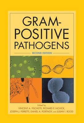 bokomslag Gram-positive pathogens