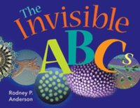 bokomslag The Invisible ABCs