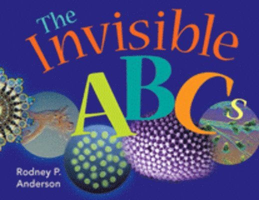 Rodney P. Anderson, Rodney P. (Ohio Northern University) Anderson, Rodney P Anderson - Invisible ABCs, Inbunden