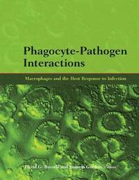 bokomslag Phagocyte-Pathogen Interactions