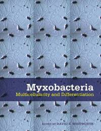 bokomslag Myxobacteria