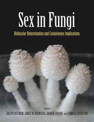 bokomslag Sex in Fungi: Molecular Determination and Evolutionary Implications