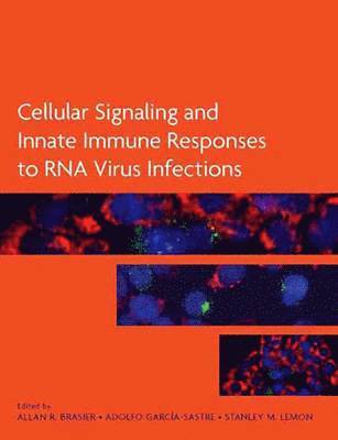 Cellular Signaling and Innate Immune Responses to RNA Virus Infections 1