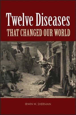 Irwin W. Sherman - Twelve Diseases that Changed Our World, Häftad