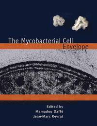 bokomslag The Mycobacterial Cell Envelope