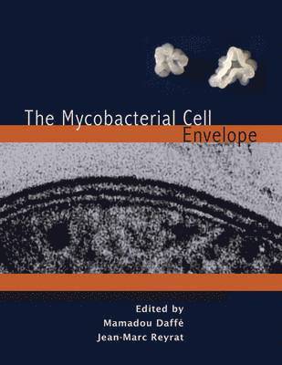 bokomslag The Mycobacterial Cell Envelope