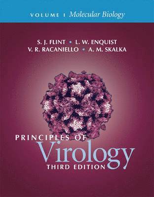 bokomslag Principles of Virology: Volume1 Molecular Biology