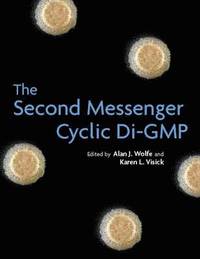 bokomslag The Second Messenger Cyclic Di-GMP