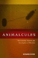 bokomslag Animalcules