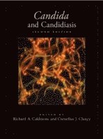 bokomslag Candida and Candidiasis, Second Edition