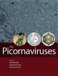 bokomslag The Picornaviruses