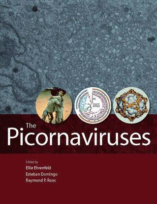 Ellie Ehrenfeld, Esteban Domingo - The Picornaviruses, Inbunden