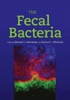 bokomslag The Fecal Bacteria
