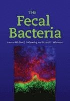 The Fecal Bacteria 1