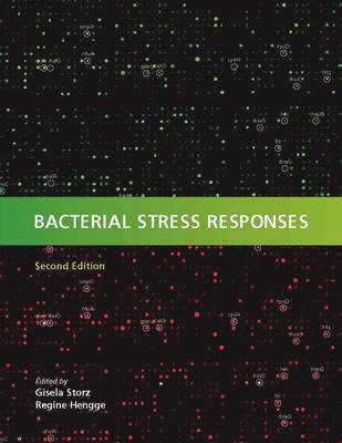 bokomslag Bacterial Stress Responses