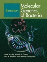 bokomslag Molecular Genetics of Bacteria