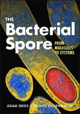bokomslag The Bacterial Spore