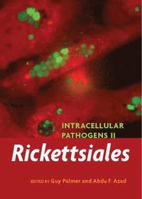 bokomslag Intracellular Pathogens II: Rickettsiales