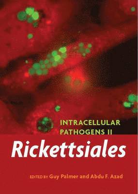 bokomslag Intracellular Pathogens II: Rickettsiales