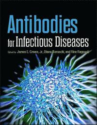 bokomslag Antibodies for Infectious Diseases