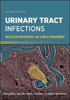 bokomslag Urinary Tract Infections