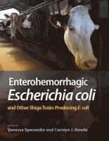 bokomslag Enterohemorrhagic Escherichia Coli and Other Shiga Toxin-Producing E. Coli