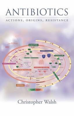 Antibiotics 1