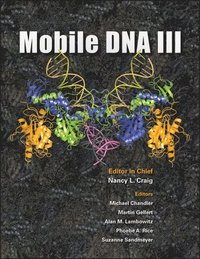 bokomslag Mobile DNA III