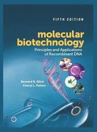 bokomslag Molecular biotechnology - principles and applications of recombinant dna