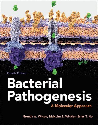 bokomslag Bacterial Pathogenesis