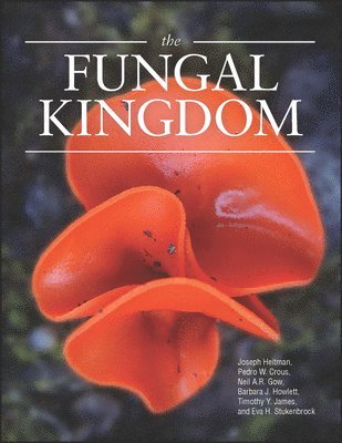 Joseph Heitman, Barbara J. Howlett, Pedro W. Crous, Eva H. Stukenbrock, Timothy Yong James, Neil A. R. Gow - Fungal Kingdom, Inbunden