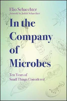In the Company of Microbes 1