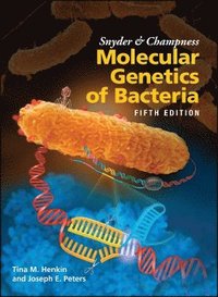 bokomslag Snyder and Champness Molecular Genetics of Bacteria